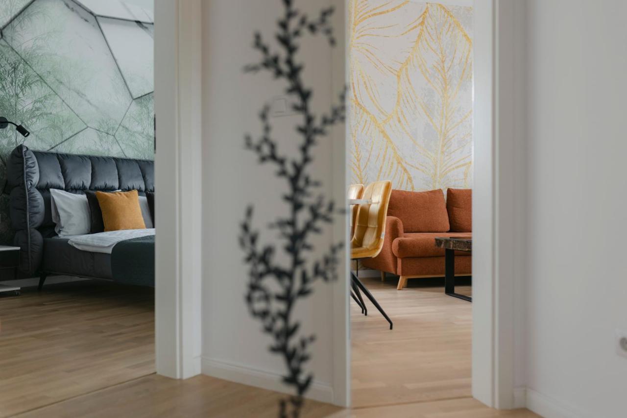The Forest - Luxe Central Apt With Free Secured Parking 布拉索夫 外观 照片