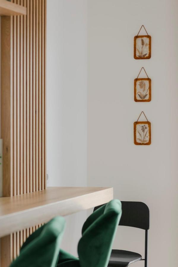 The Forest - Luxe Central Apt With Free Secured Parking 布拉索夫 外观 照片